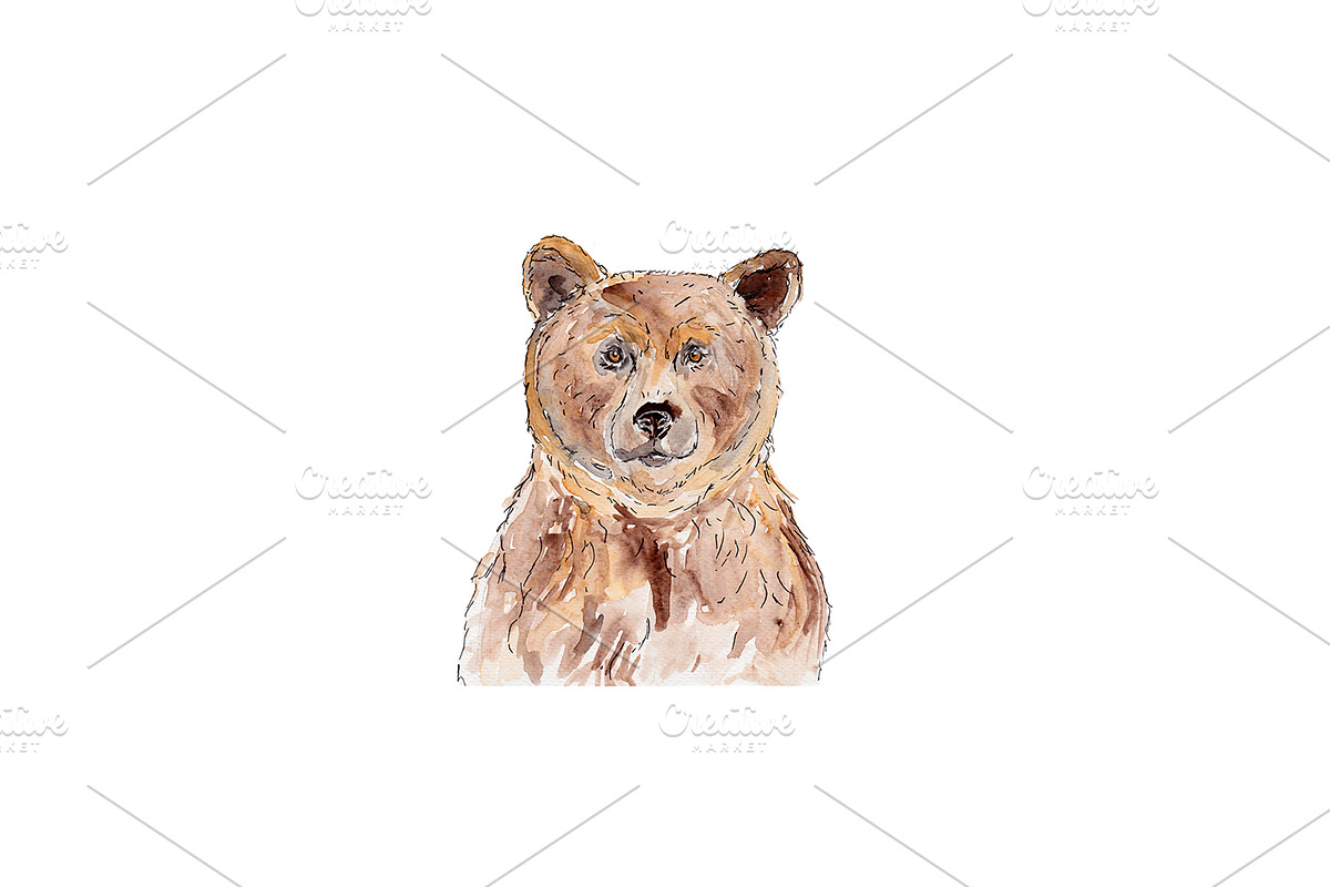 watercolor bear illustration in Illustrations - product preview 8