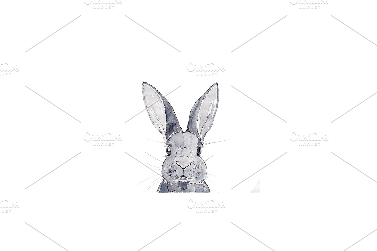 Bunny Rabbit Watercolour Art in Illustrations - product preview 8