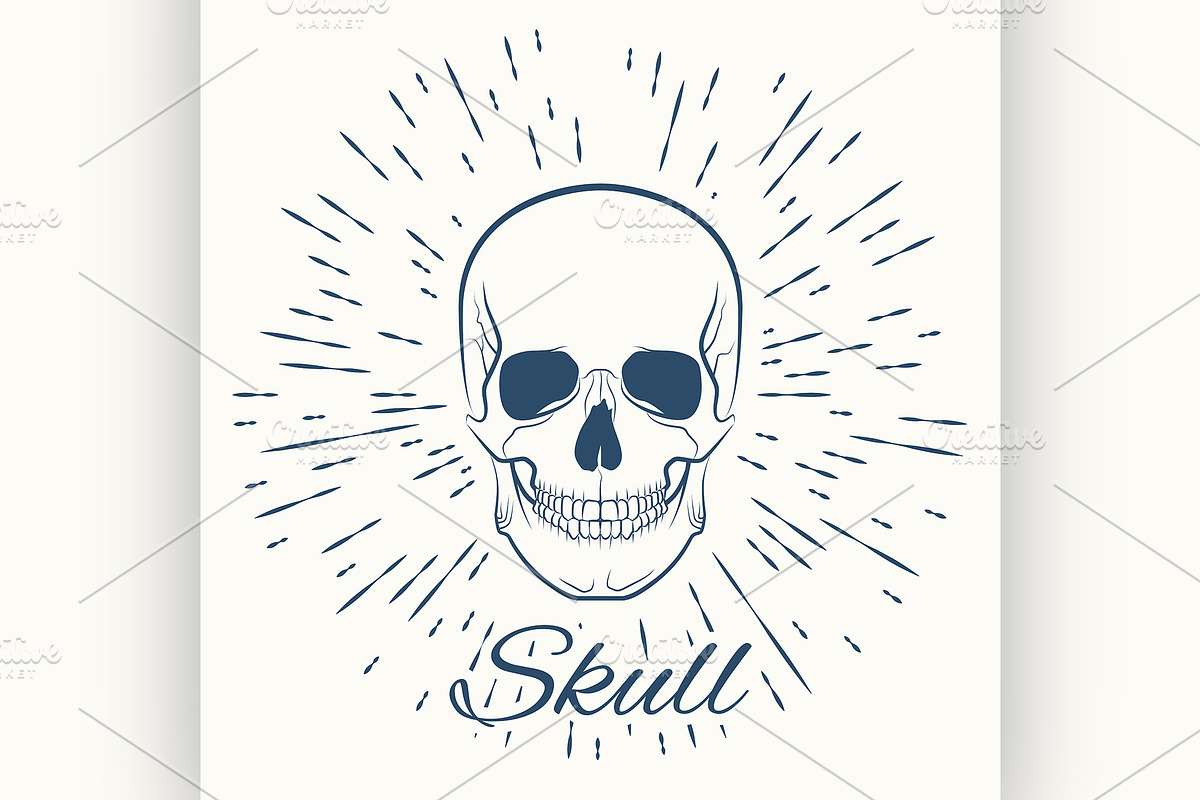 skull and vintage sun burst frame in Illustrations - product preview 8