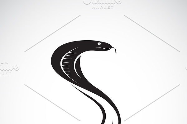 Vector of snake design. Wild Animal.