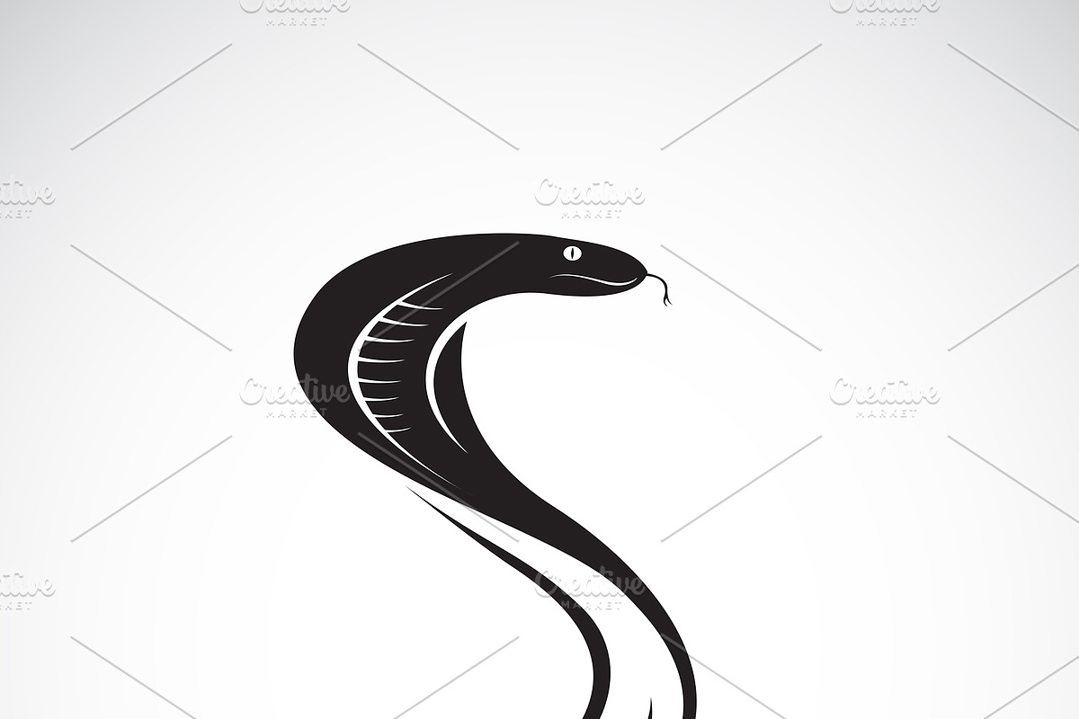 Vector of snake design. Wild Animal. in Icons - product preview 8