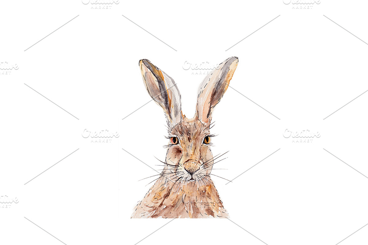 Watercolor Hare Clipart in Illustrations - product preview 8