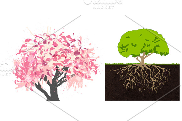 Trees Flat Set in Illustrations - product preview 4
