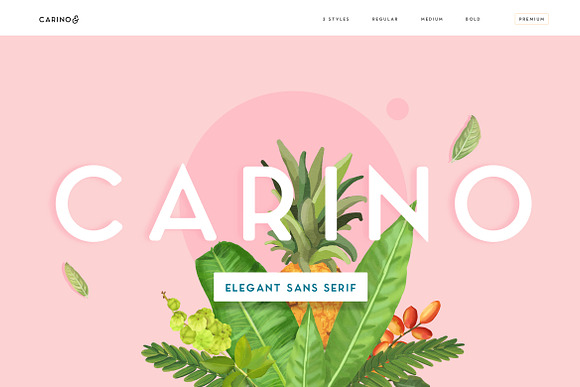 Carino - A Modern Elegant Typeface in Modern Fonts - product preview 1