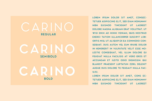 Carino - A Modern Elegant Typeface in Modern Fonts - product preview 11