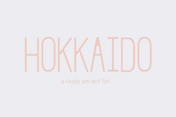 Hokkaido | A Classic Sans Serif in Sans-Serif Fonts - product preview 7