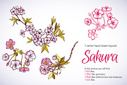 Sakura Sketch Set