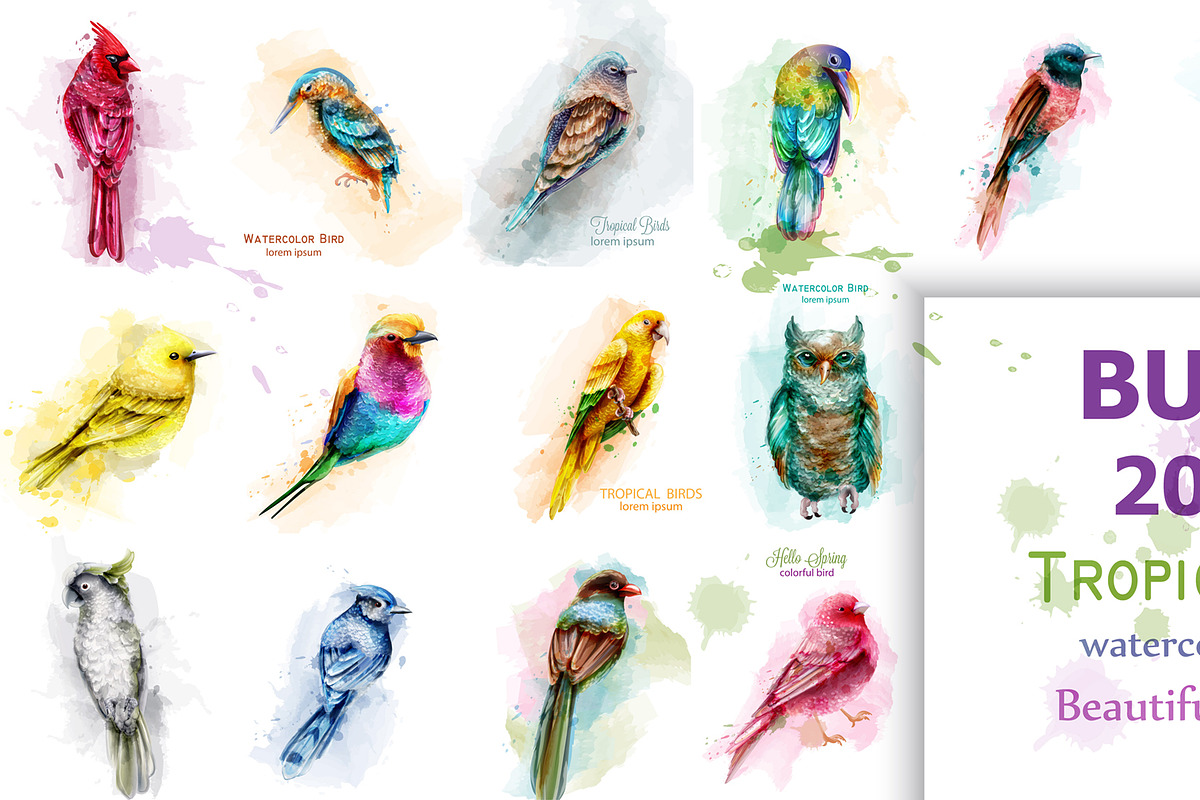 20 bundle watercolor birds in Illustrations - product preview 8