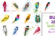 20 bundle watercolor birds