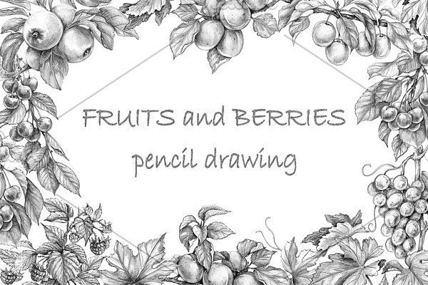 Pencil Drawing Fruits and Berries