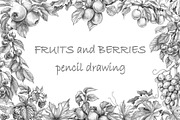 Pencil Drawing Fruits and Berries