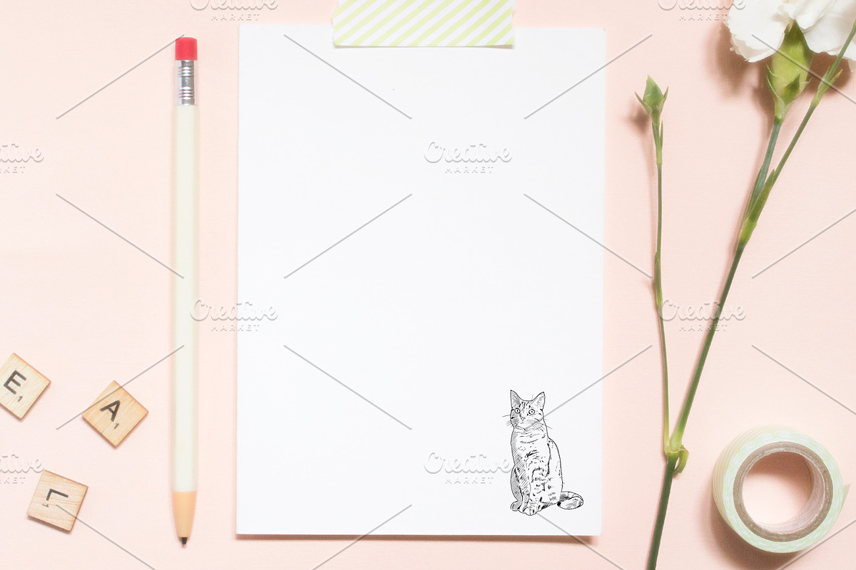 Cats & Kittens Sketches & Silhouette in Illustrations - product preview 8