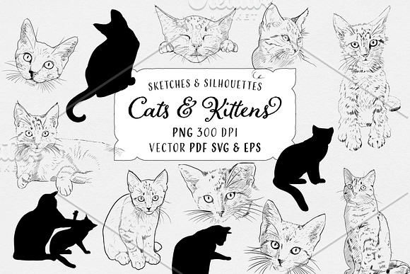 Cats & Kittens Sketches & Silhouette in Illustrations - product preview 2