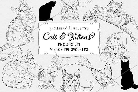 Cats & Kittens Sketches & Silhouette in Illustrations - product preview 3