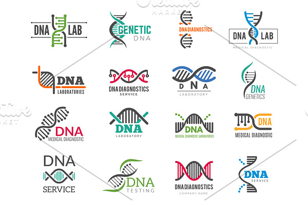 Dna logotype. Business identity with