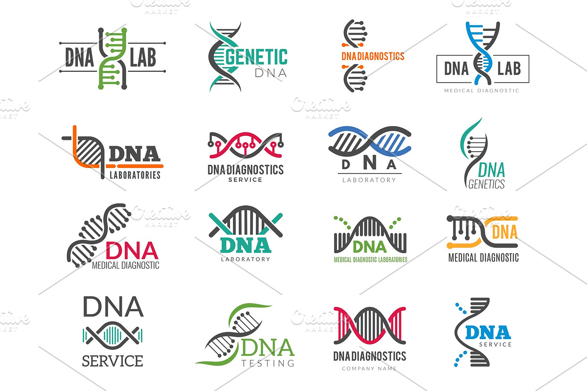 Dna logotype. Business identity with in Graphics - product preview 8