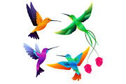 Hummingbirds collection. Exotic