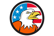 American Bald Eagle Head Angry Flag