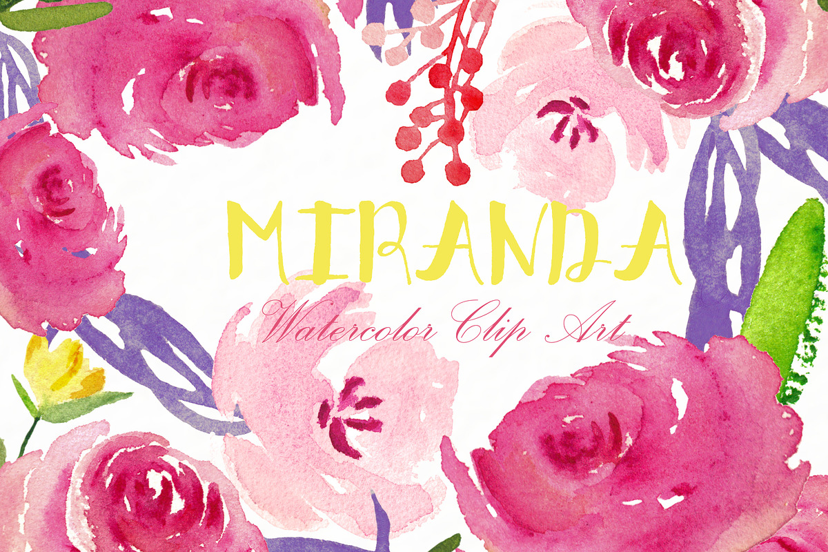Miranda roses. Watercolor Clipart. in Illustrations - product preview 8