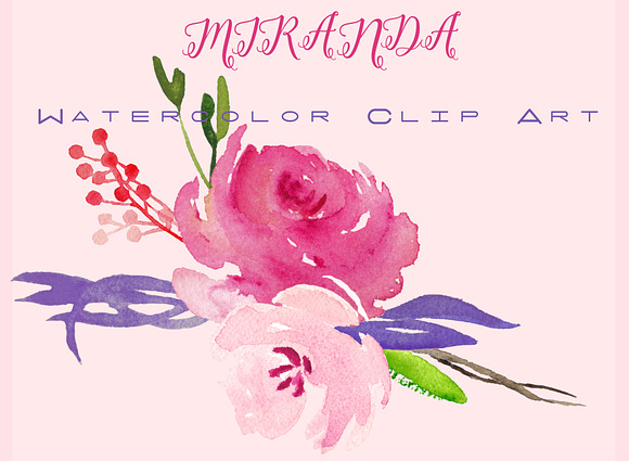 Miranda roses. Watercolor Clipart. in Illustrations - product preview 1
