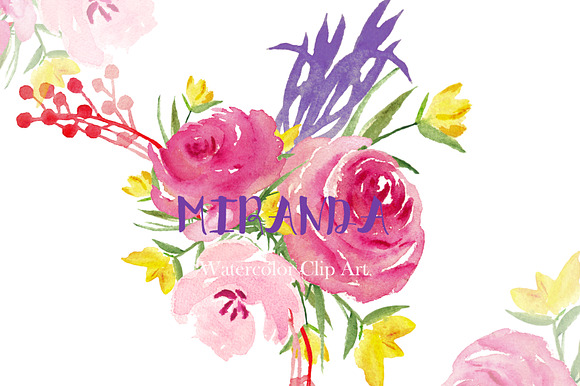Miranda roses. Watercolor Clipart. in Illustrations - product preview 2
