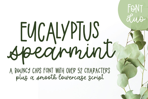 Eucalyptus Spearmint Monoline Script