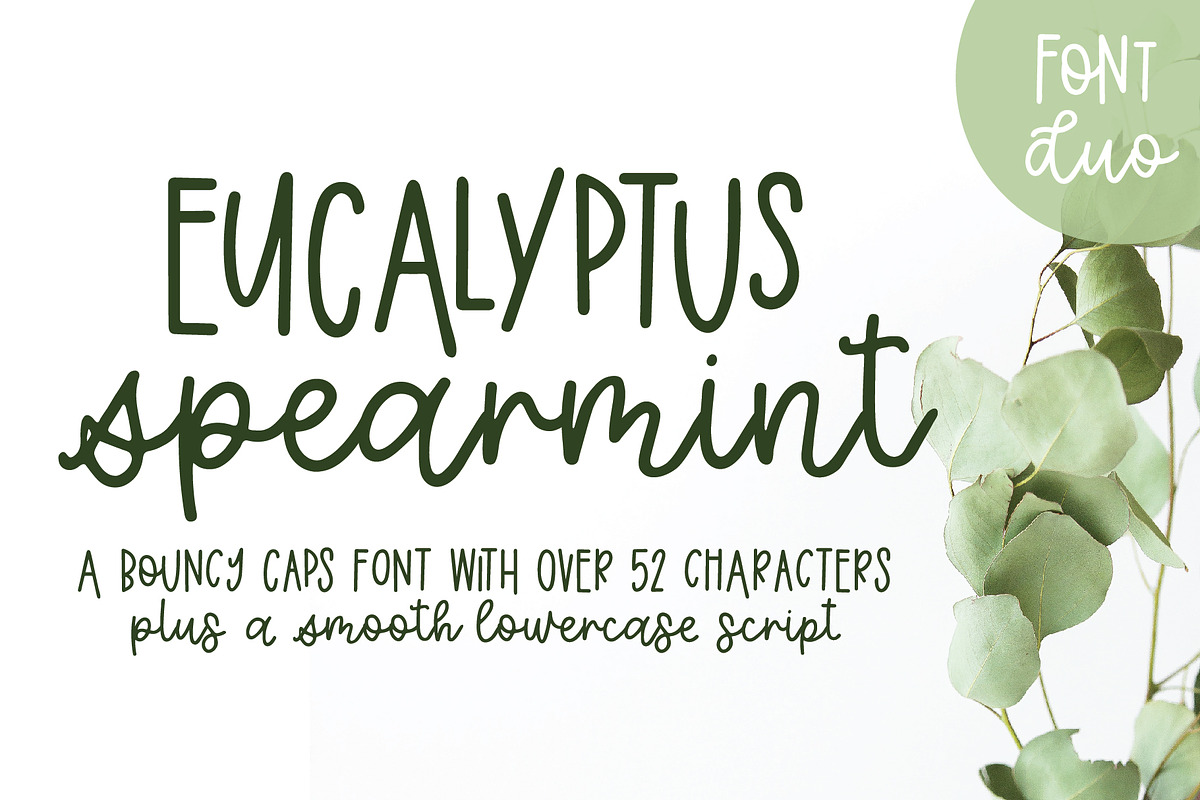 Eucalyptus Spearmint Monoline Script in Script Fonts - product preview 8