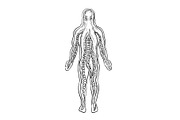 Alien Octopus Inside Human Body