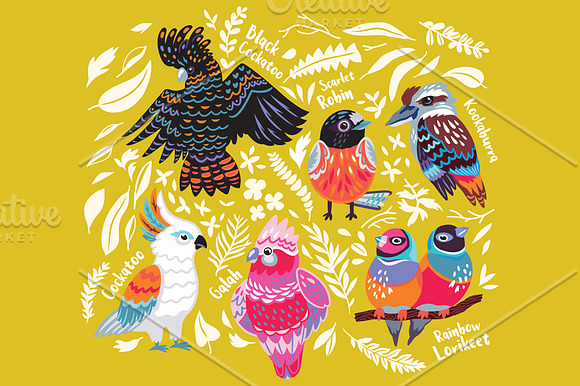 Australian birds in Patterns - product preview 5
