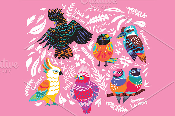 Australian birds in Patterns - product preview 6