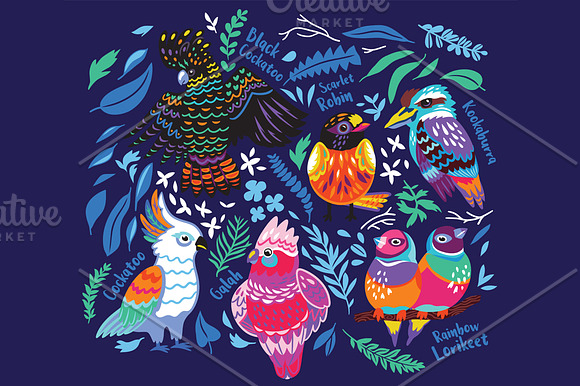Australian birds in Patterns - product preview 7