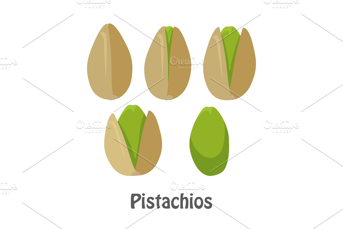 Pistachio Nuts and Pistachio Kernels in Illustrations - product preview 8