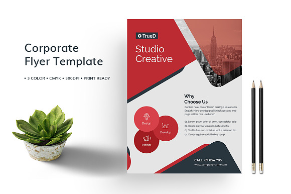 Flyers Bundle in Flyer Templates - product preview 10