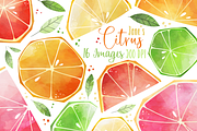 Watercolor Citrus Slices Clipart