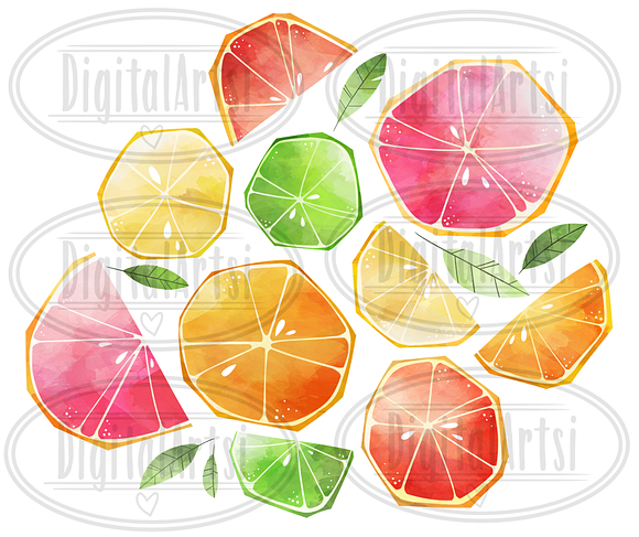 Watercolor Citrus Slices Clipart in Illustrations - product preview 1