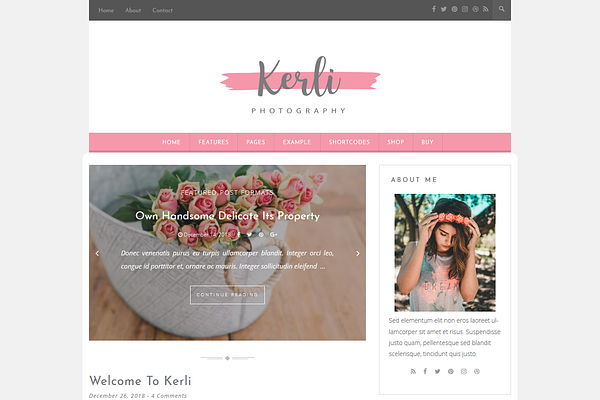 Kerli - Personal WordPress Theme
