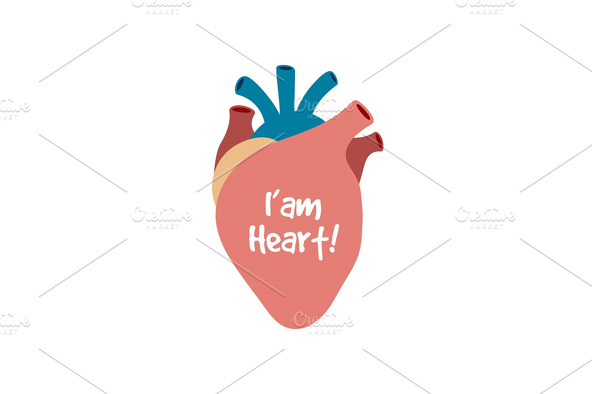 Human heart isolated on white in Objects - product preview 8