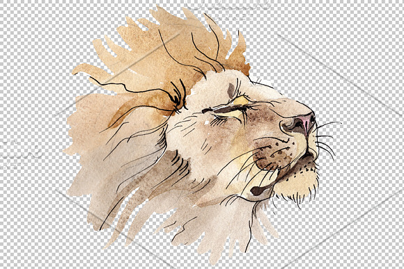 Animal: Lion Watercolor png in Illustrations - product preview 1