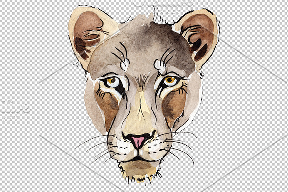 Animal: Lion Watercolor png in Illustrations - product preview 2