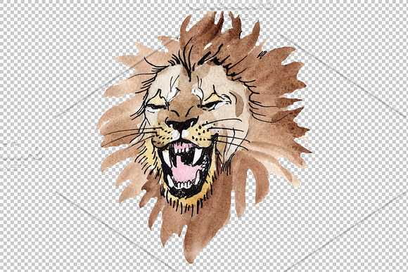 Animal: Lion Watercolor png in Illustrations - product preview 4