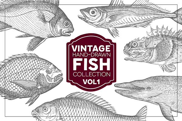 Vintage Fish Collection - vol1