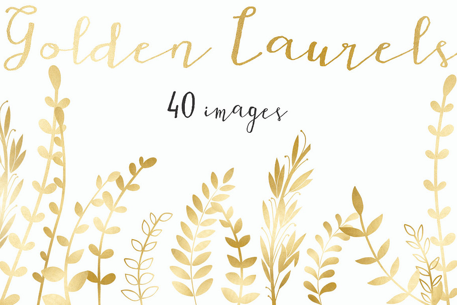 Golden Laurels Collection in Illustrations - product preview 8