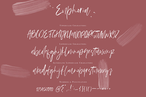 Euphoria | Handwritten Font in Script Fonts - product preview 9