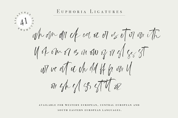 Euphoria | Handwritten Font in Script Fonts - product preview 11