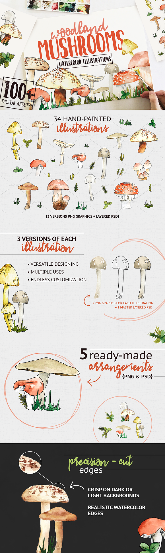 Woodland Mushroom Watercolors in Illustrations - product preview 7