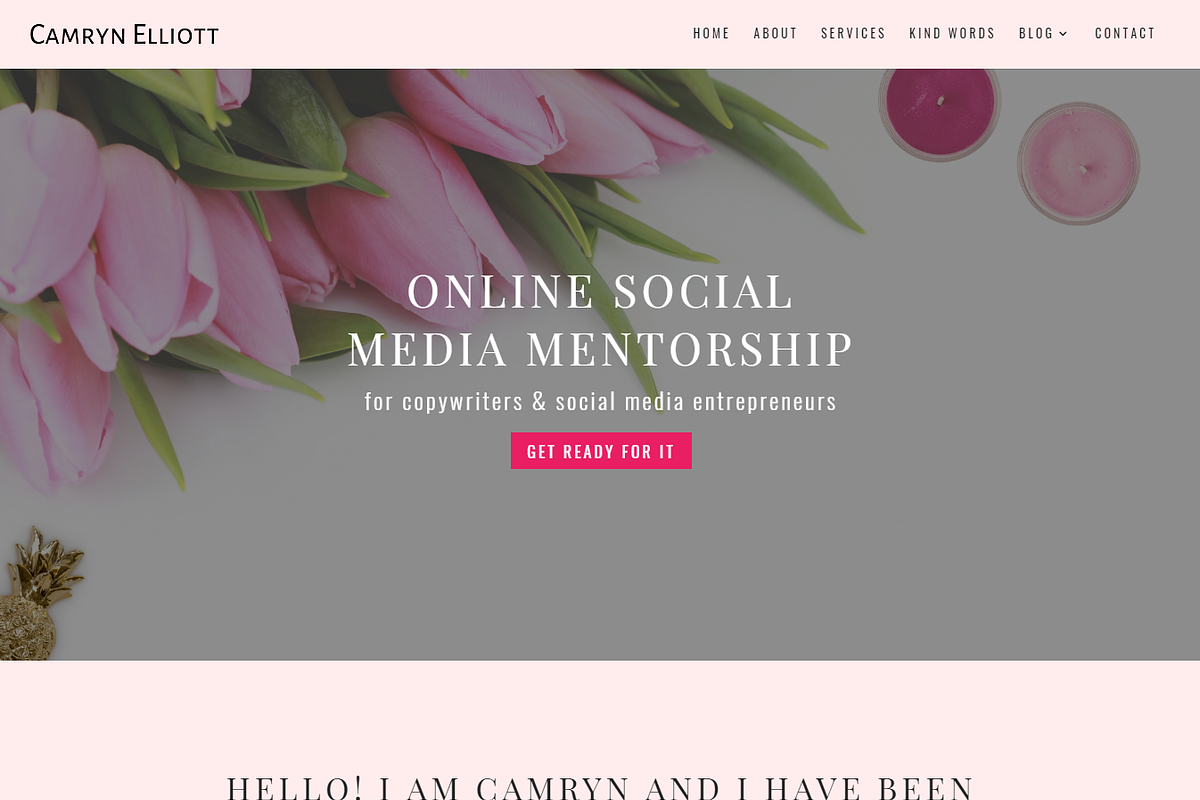 Camryn Divi WordPress Theme in WordPress Business Themes - product preview 8