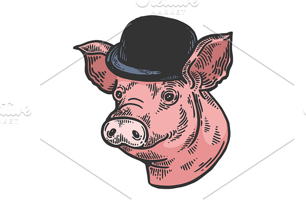 Pig animal bowler hat sketch color