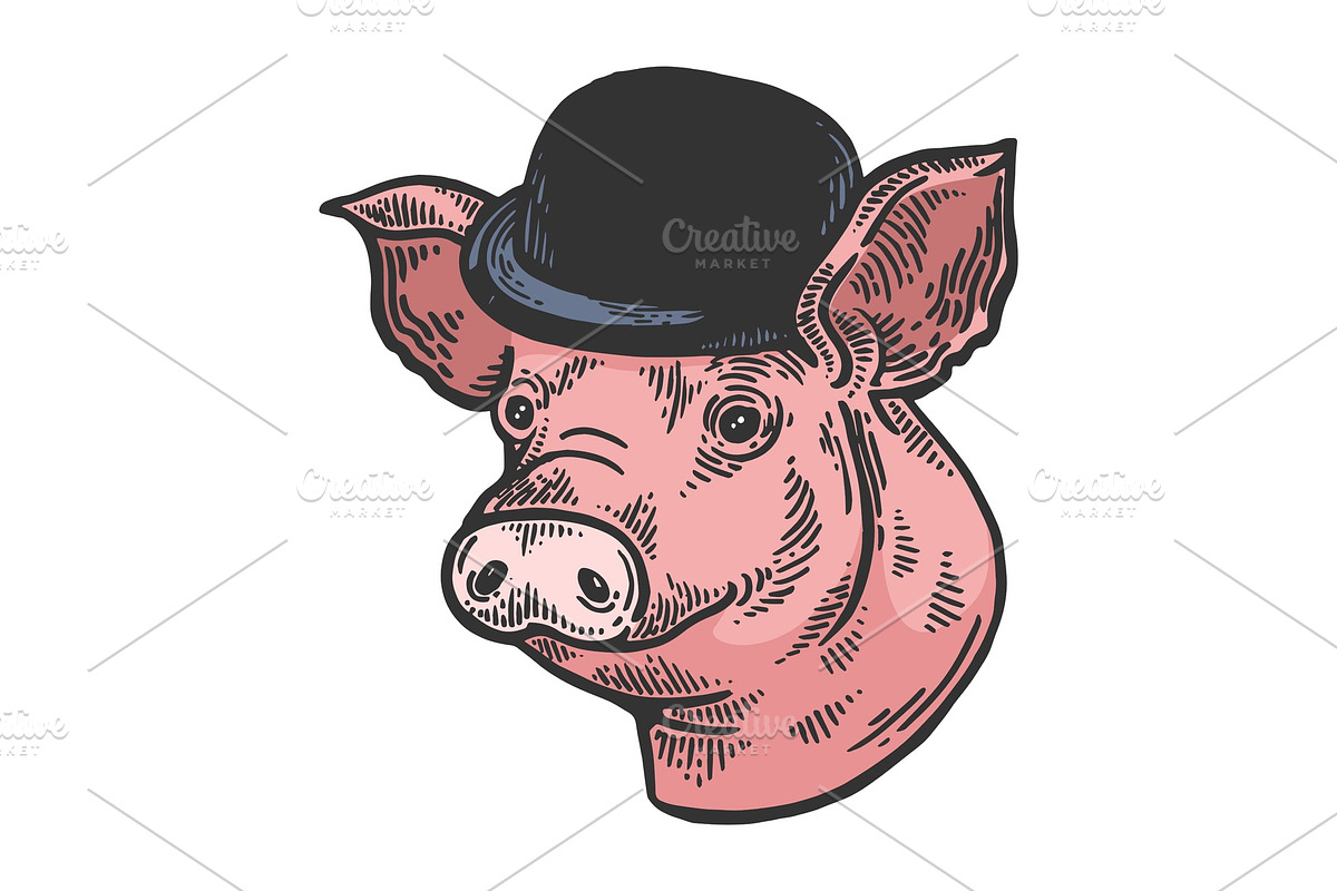 Pig animal bowler hat sketch color in Illustrations - product preview 8