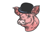 Pig animal bowler hat sketch color