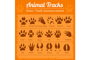 Animal Footprints - North American